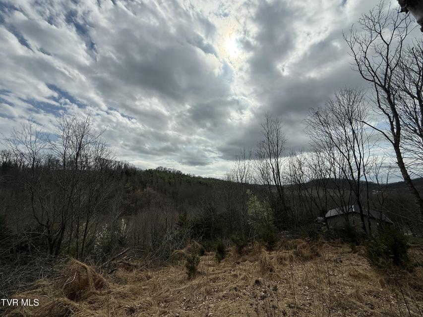 Photo #13: Tr 3 Charles Johnson Road