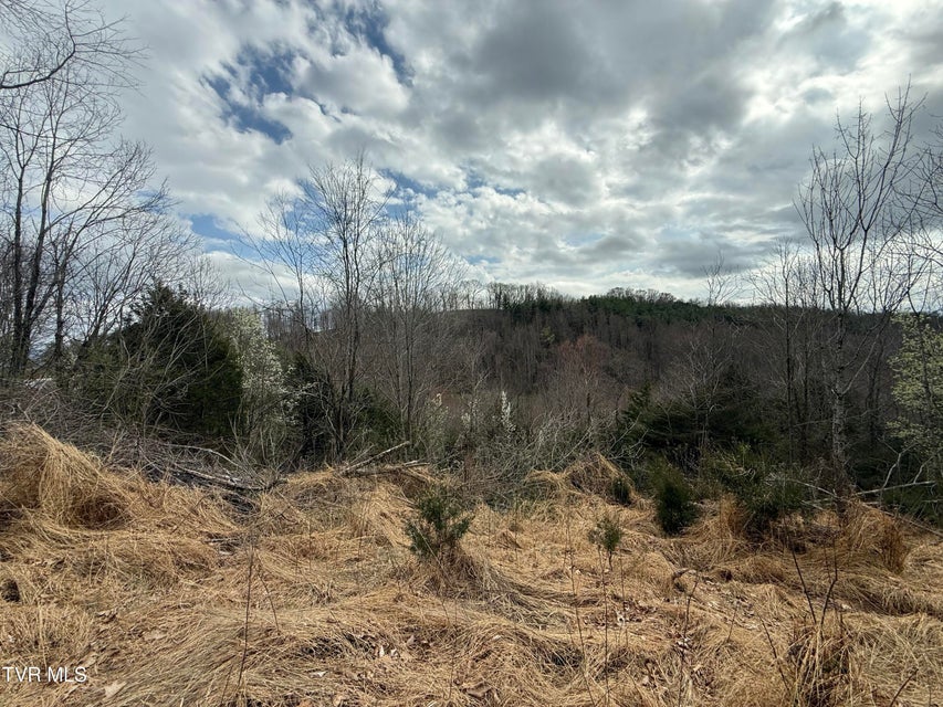 Photo #14: Tr 3 Charles Johnson Road