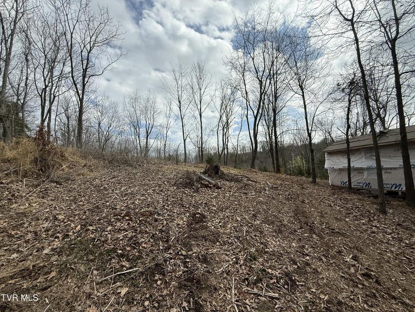 Photo #6: Tr 3 Charles Johnson Road