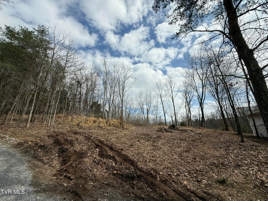 Photo #16: Tr 3 Charles Johnson Road