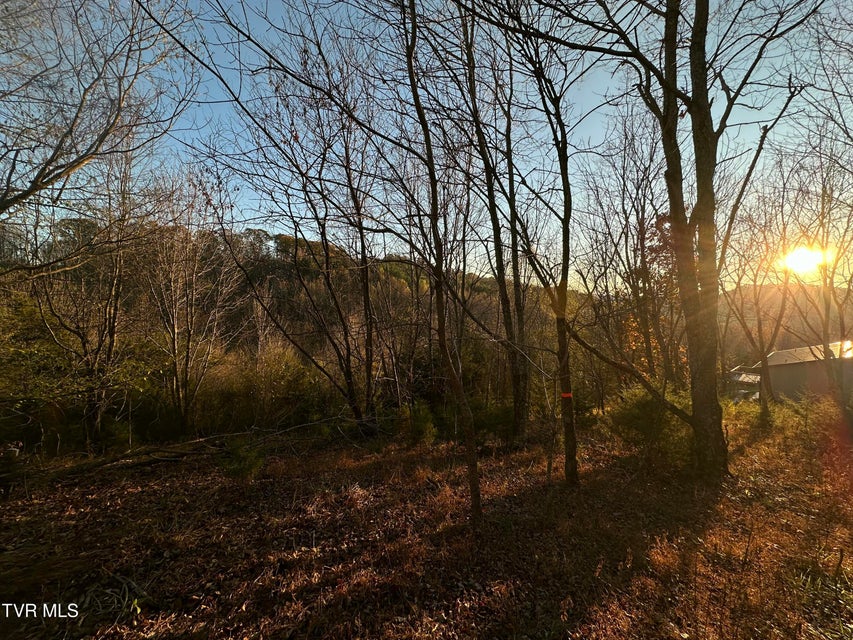 Photo #18: Tr 3 Charles Johnson Road