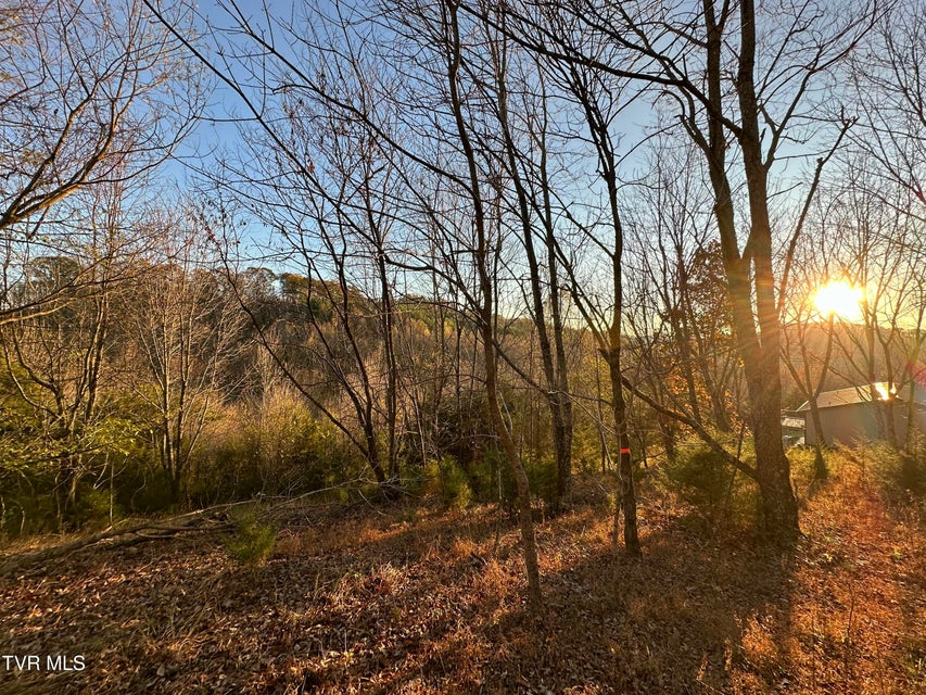 Photo #2: Tr 3 Charles Johnson Road