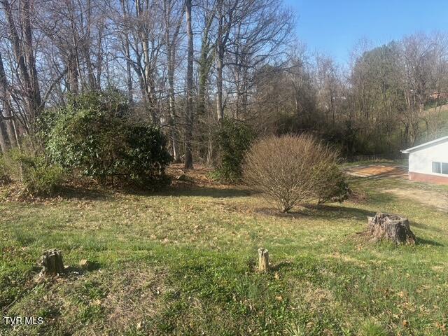 Photo #4: Tbd Poplar Hill Drive