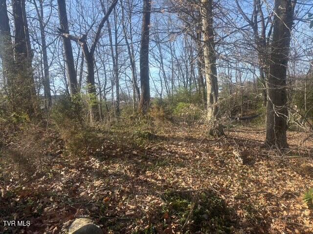 Photo #5: Tbd Poplar Hill Drive