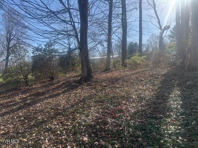 Photo #8: Tbd Poplar Hill Drive