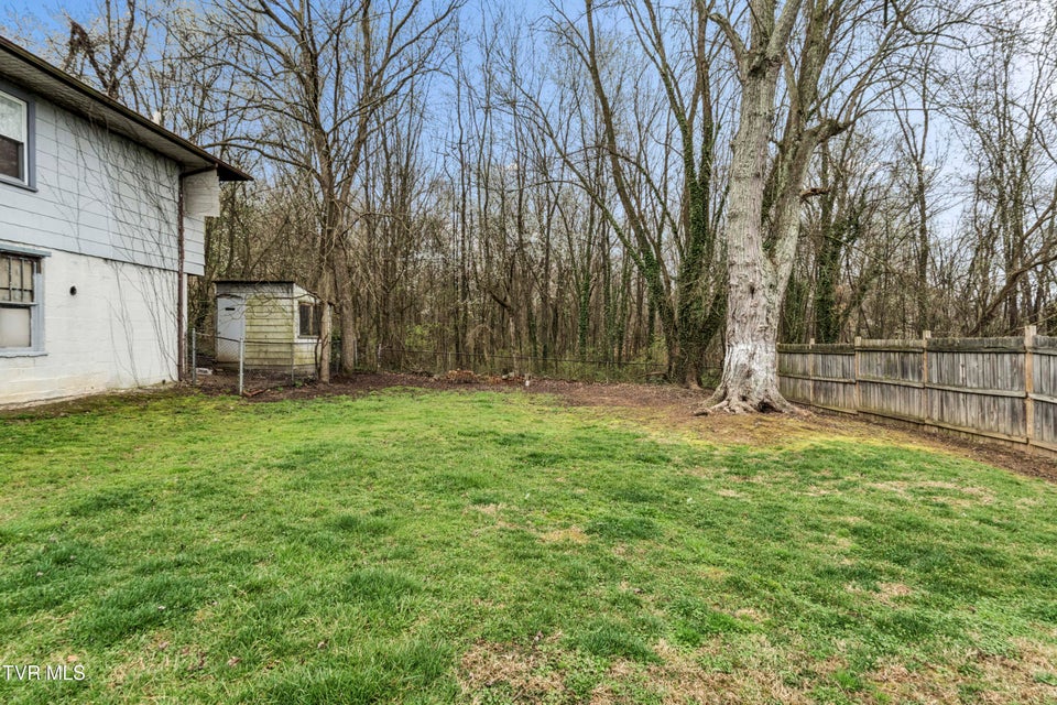 Photo #31: 364 Lynn Avenue