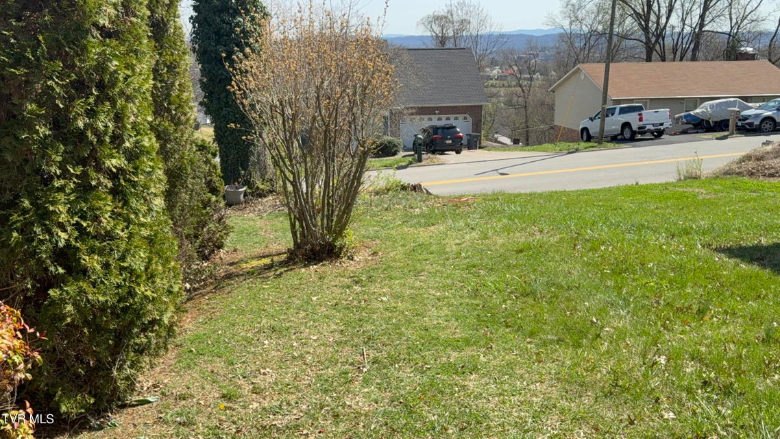 Photo #36: 952 Afton Street