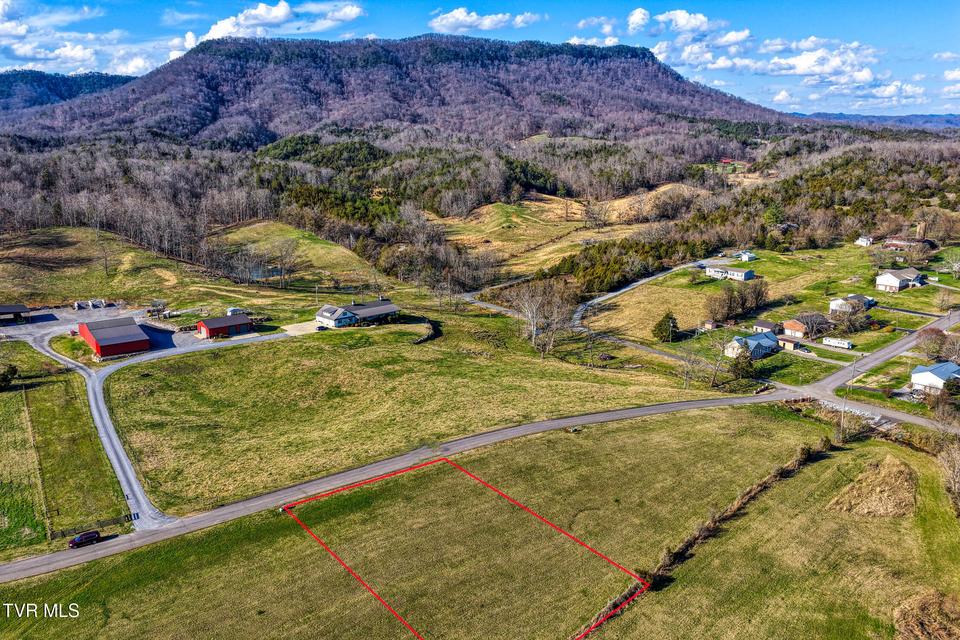 Photo #2: Tbd3 Dawn Lane