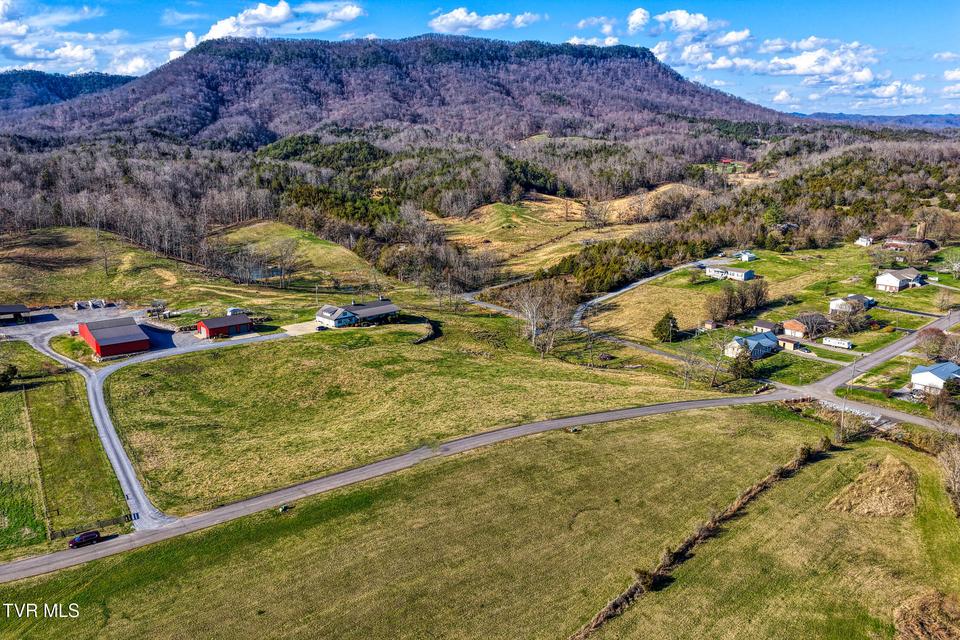 Photo #6: Tbd3 Dawn Lane