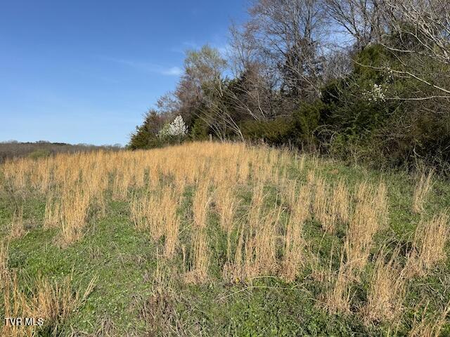 Photo #7: Lot 2 Mcdonald Road