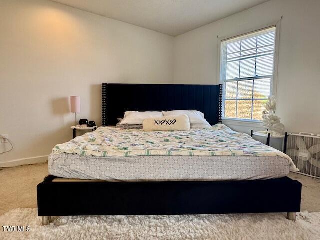 Photo #47: 115 El Sara Drive