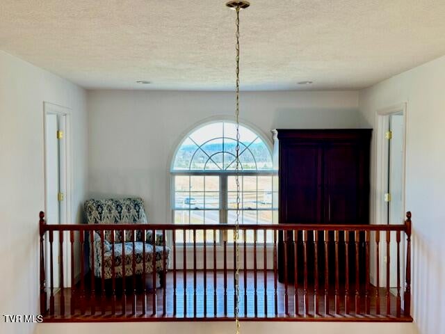 Photo #40: 115 El Sara Drive