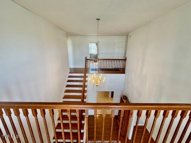 Photo #34: 115 El Sara Drive