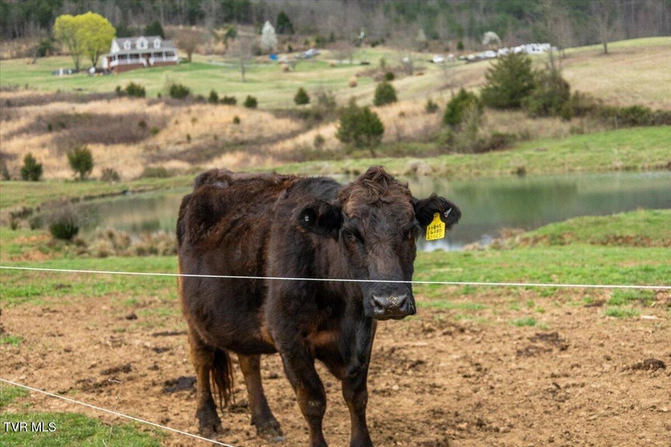 Photo #38: 3218 Stanley Valley Road