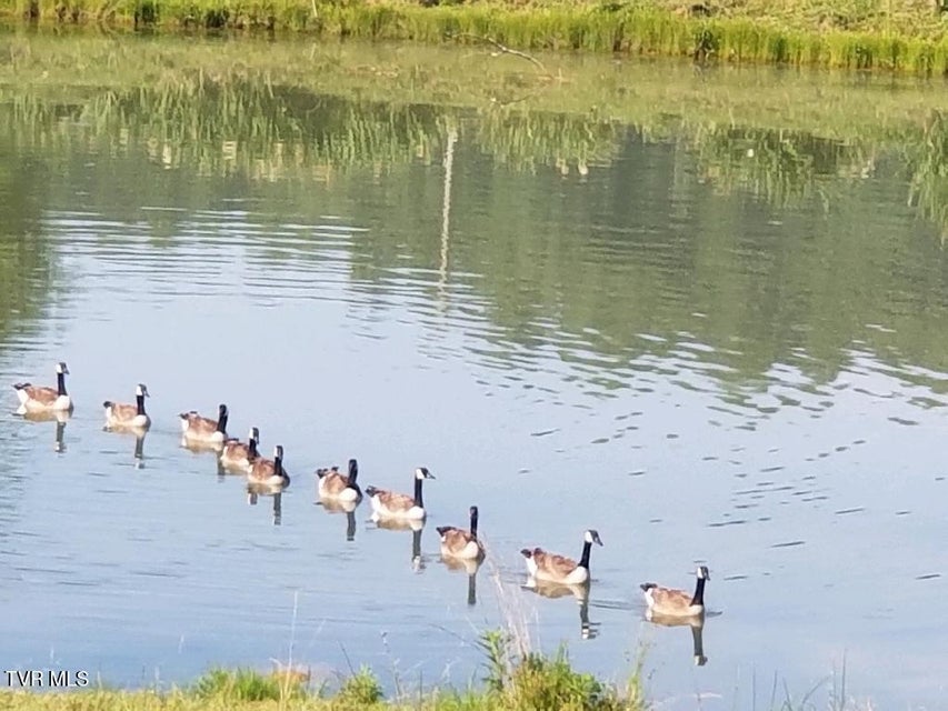 Photo #40: 3218 Stanley Valley Road