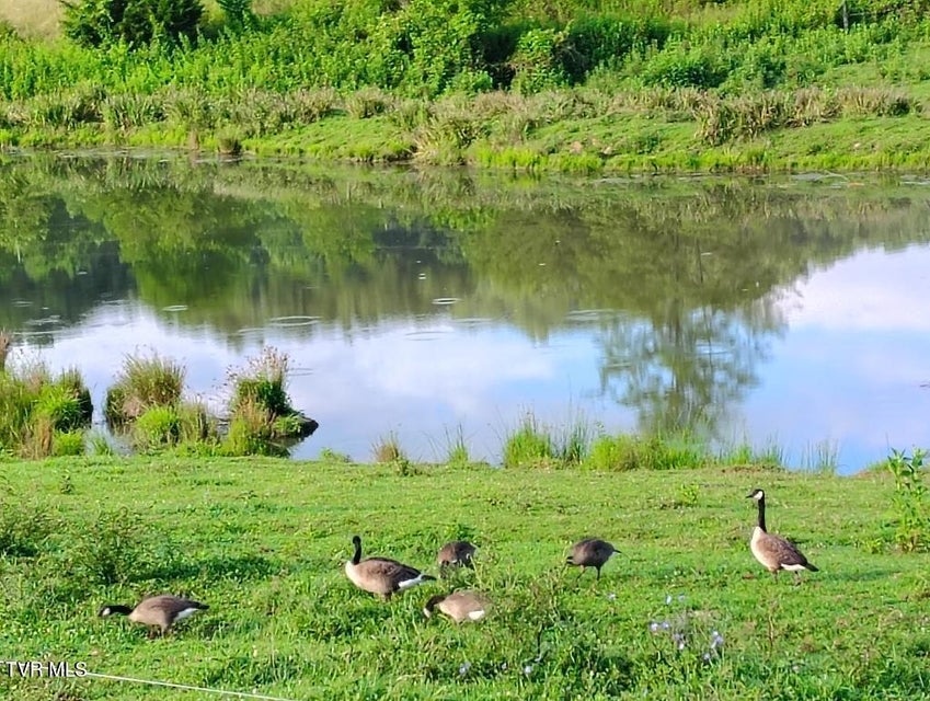 Photo #41: 3218 Stanley Valley Road