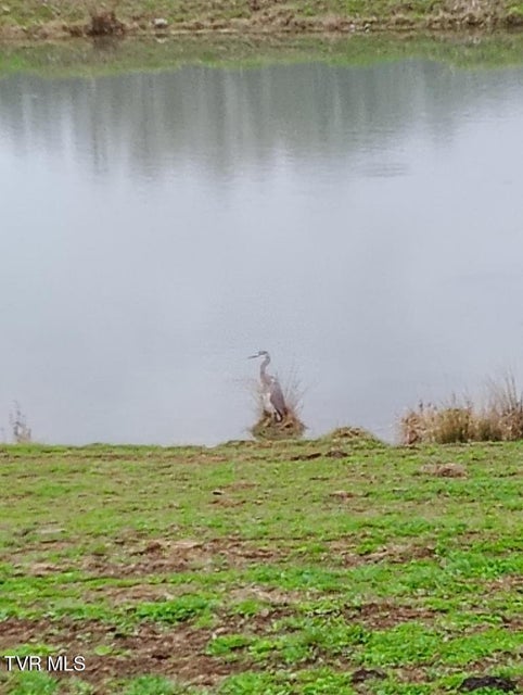 Photo #42: 3218 Stanley Valley Road