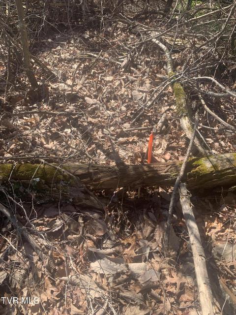 Photo #7: Tbd Jr Gray Road