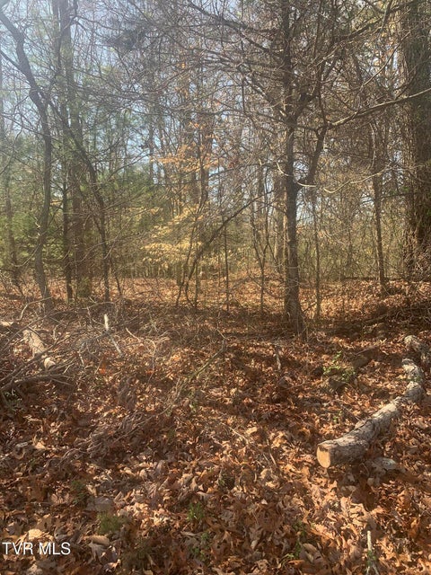 Photo #5: Tbd Jr Gray Road