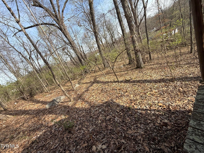 Photo #40: 128 Shadowwood Lane