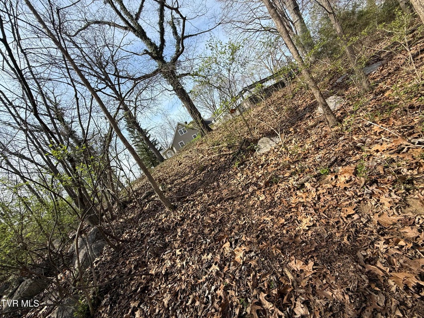 Photo #42: 128 Shadowwood Lane