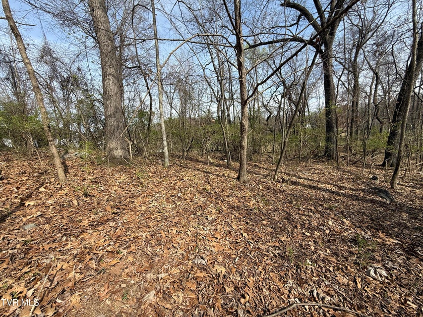 Photo #43: 128 Shadowwood Lane