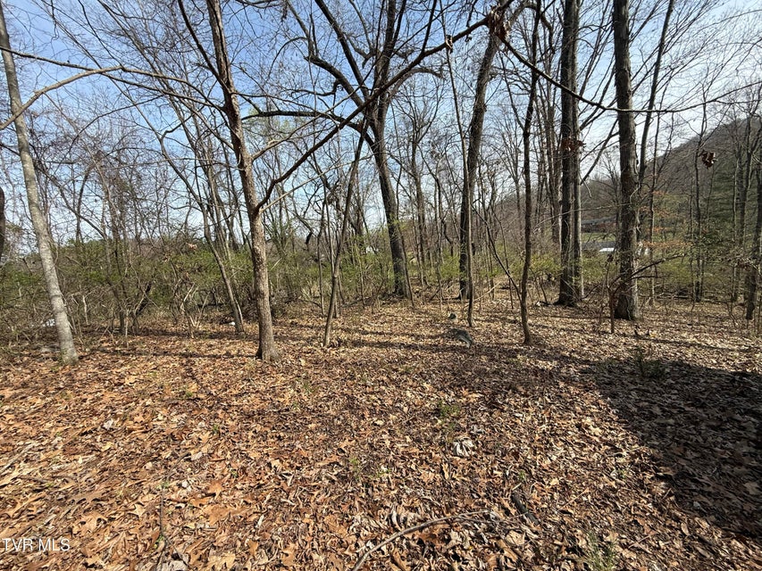 Photo #44: 128 Shadowwood Lane