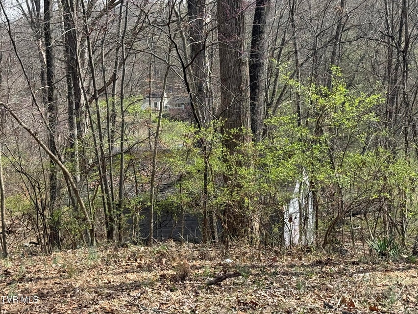 Photo #50: 128 Shadowwood Lane