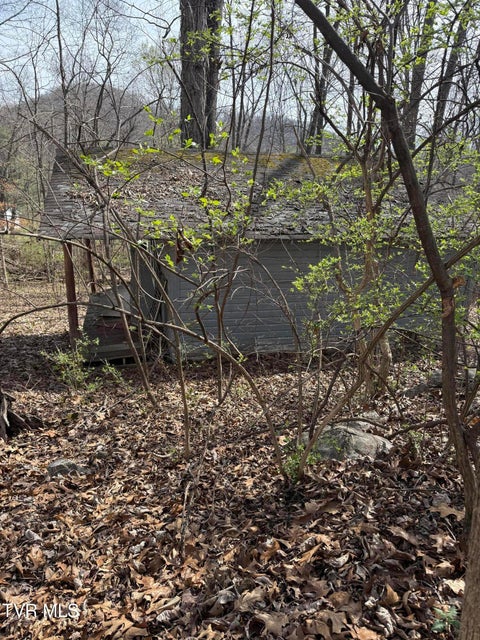 Photo #48: 128 Shadowwood Lane