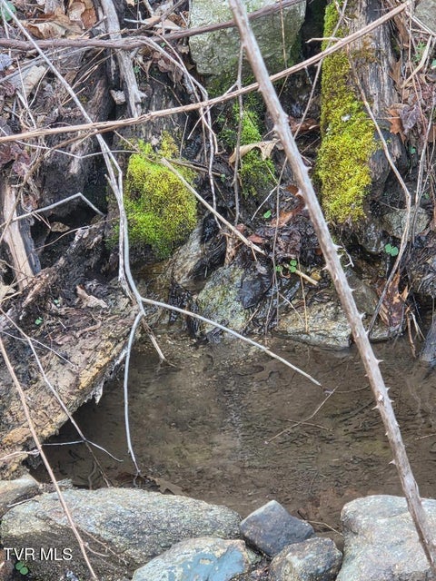 Photo #2: T.B.D Tiger Creek Road