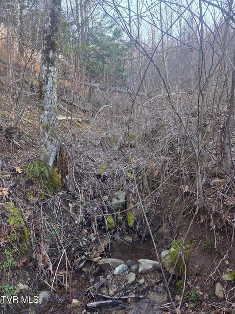 Photo #3: T.B.D Tiger Creek Road