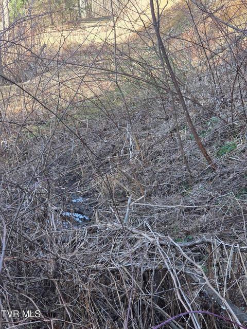 Photo #4: T.B.D Tiger Creek Road