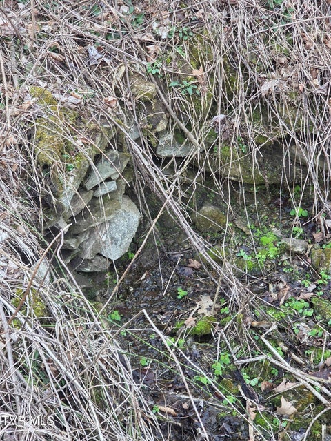 Photo #5: T.B.D Tiger Creek Road