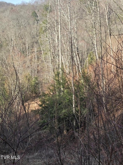 Photo #7: T.B.D Tiger Creek Road