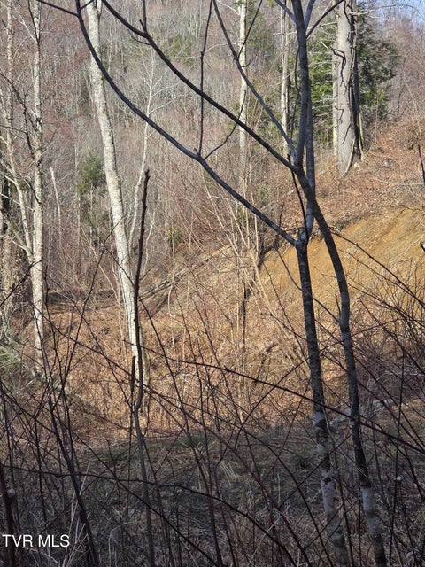 Photo #8: T.B.D Tiger Creek Road