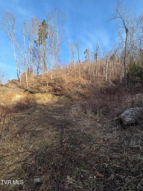 Photo #9: T.B.D Tiger Creek Road