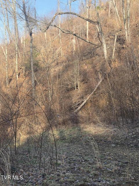 Photo #12: T.B.D Tiger Creek Road