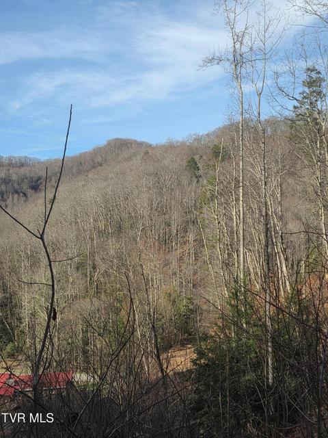 Photo #14: T.B.D Tiger Creek Road