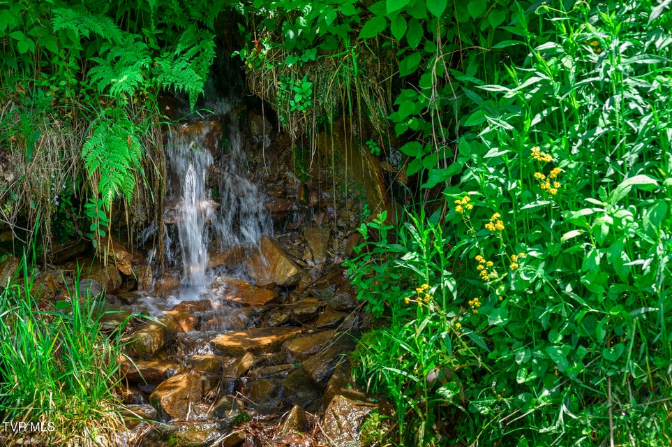 Photo #2: C613 Buffalo Nvno 