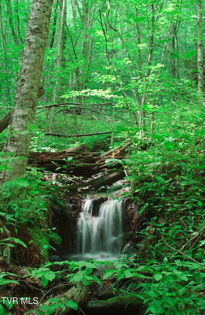 Photo #20: C613 Buffalo Nvno 