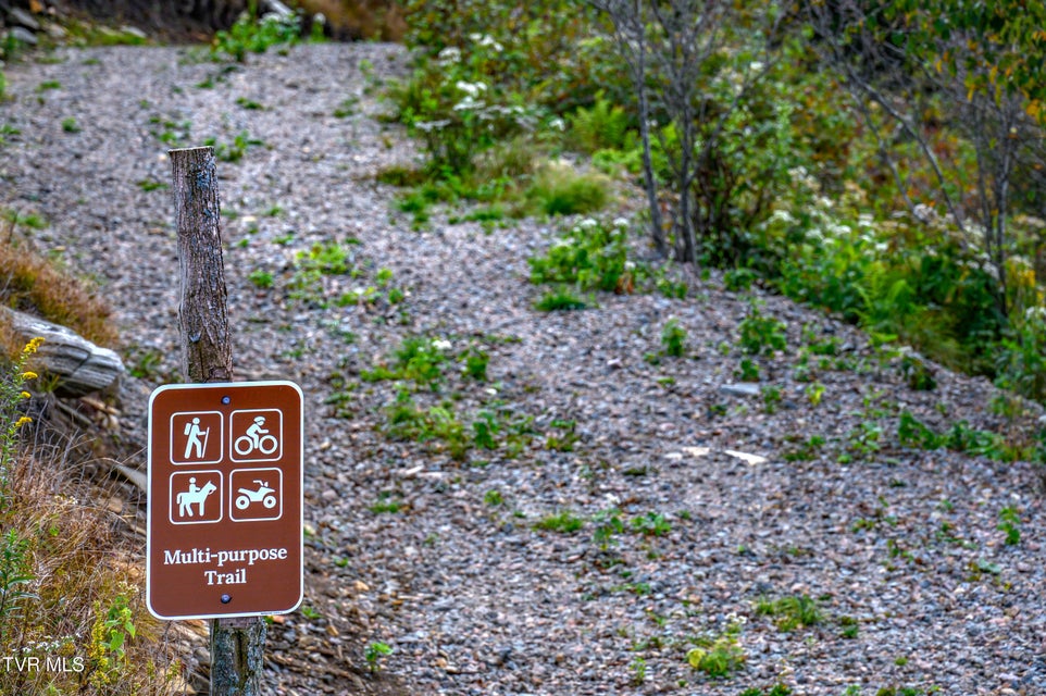 Photo #48: C613 Buffalo Nvno 