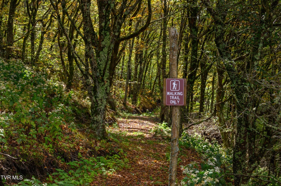 Photo #46: C613 Buffalo Nvno 