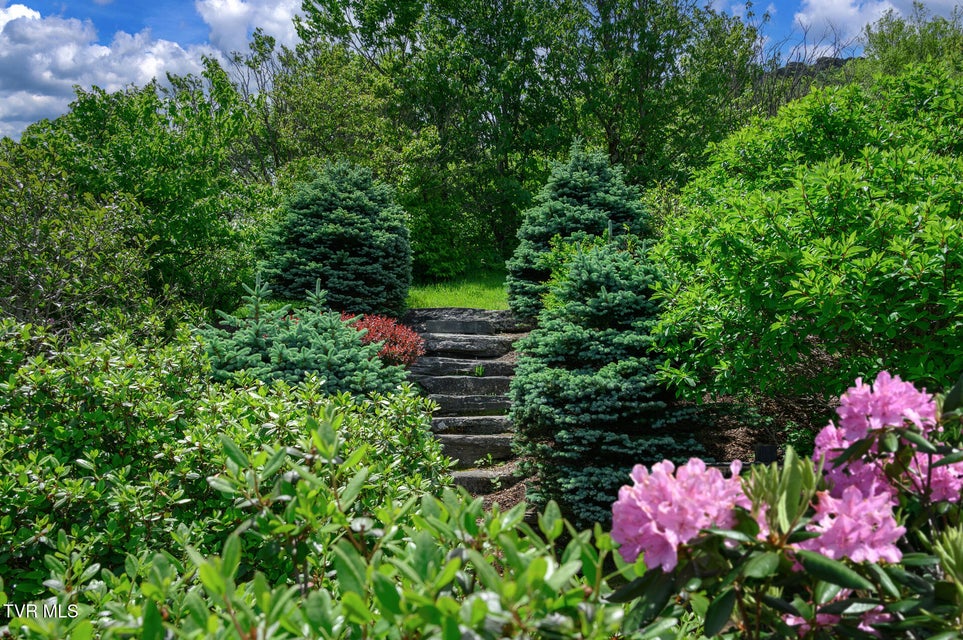 Photo #43: C613 Buffalo Nvno 