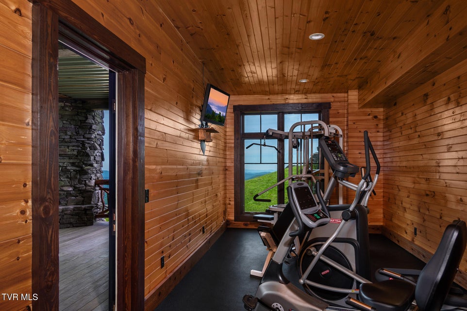 Photo #35: C613 Buffalo Nvno 