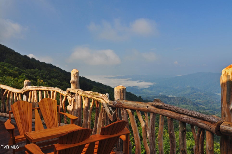 Photo #40: C613 Buffalo Nvno 