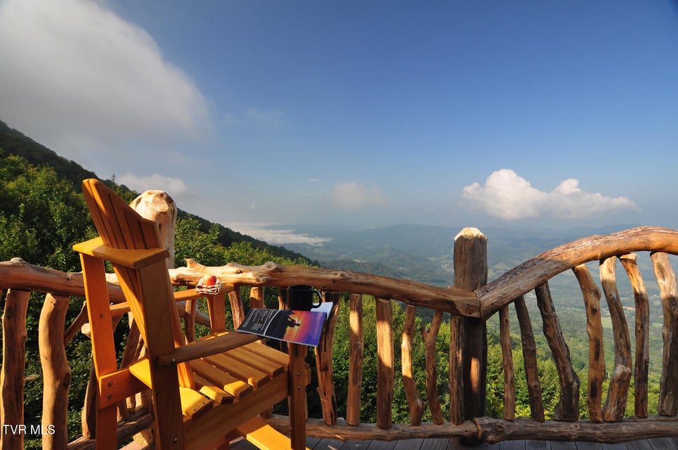 Photo #38: C613 Buffalo Nvno 