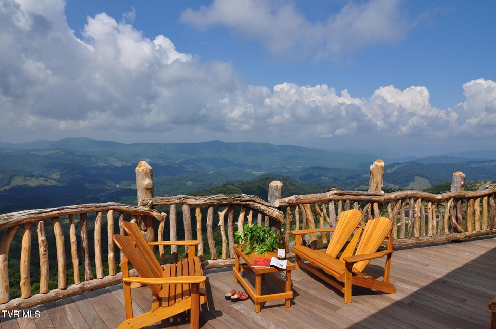 Photo #36: C613 Buffalo Nvno 