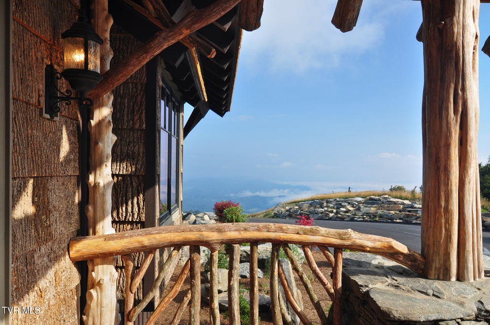 Photo #21: C613 Buffalo Nvno 