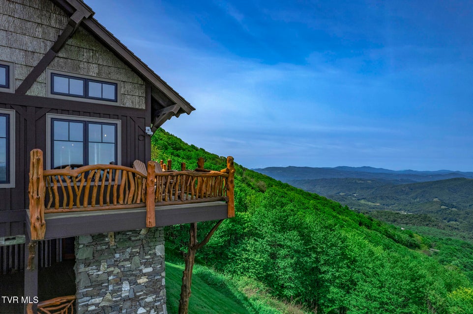 Photo #25: C613 Buffalo Nvno 