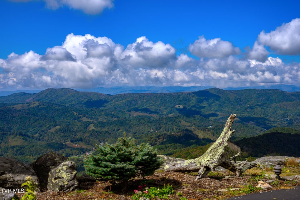 Photo #24: C613 Buffalo Nvno 